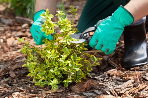 Garden clearance team removing green waste in a terrace garden