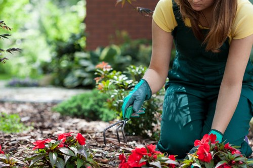 A gardener wearing a yellow top and teal overalls is kneeling on a garden bed in a residential outdoor space, using a hand rake to tend to bright red flowering plants, surrounded by lush green foliage and various shrubs. The garden features a well-maintained lawn in the foreground, with soil beds bordered by paving stones, and a backdrop of trees and a brick building wall, indicating a landscaped yard in Regents Park. Natural sunlight illuminates the scene, highlighting the rich textures of the plants, soil, and paving, reflecting professional gardening maintenance typical of lawnmowing and landscaping services provided by Lawn Mowing Regents Park.