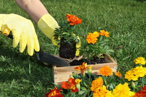 Expert trimming and edging of a residential lawn