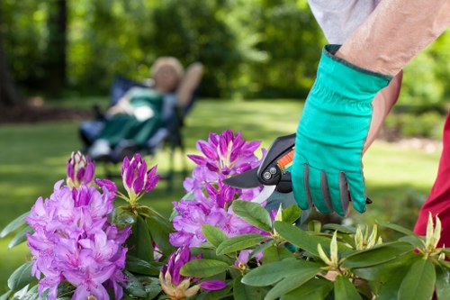 Close-up of mower blades and cut grass during a job