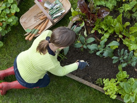 Close-up of lawn edging and grass clippings being removed